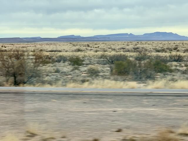 IMG_1510